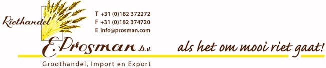 Riethandel E. Prosman bv logo Riethandel E. Prosman bv logo