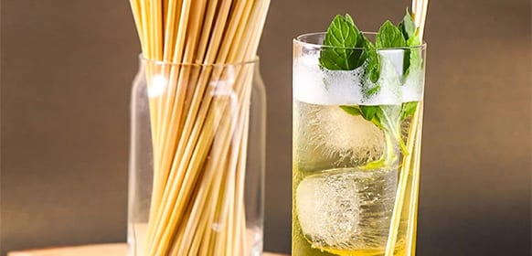 Biologische rietjes van riet